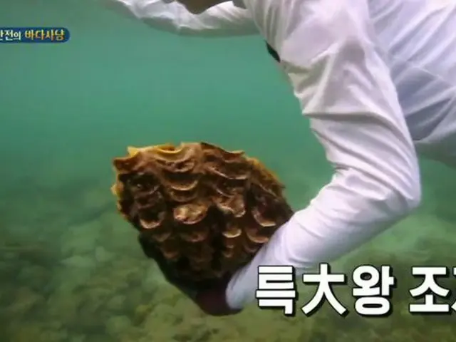 韓国バラエティ番組「ジャングルの法則」、タイ南部で採ってはいけない貝を違法採取してしまい、公式謝罪