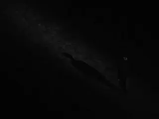 【T公式】EXO BAEKHYUN、ビデオメッセージ公開