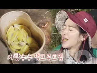 【公式sbe】 ホン・スア 、ジャングルの味」サトウキビパラミツ蒸し」試食にきゃっ↗キム・ビョンマンのジャングルの法則374回20190727   