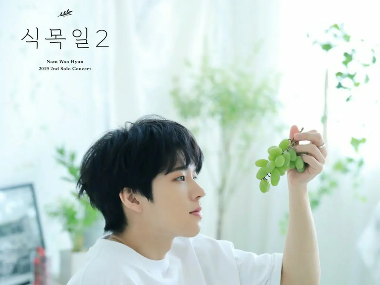 ナム・ウヒョン2019 2nd ソロコンサート 植木日2 韓国盤 DVD2枚組 ナム・ウヒョン2019 2nd ソロコンサート 植木日2 韓国盤 DVD2枚