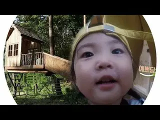 【公式sbe】  "うわきれい♡"ユージーン、イ・スンギ が建てた小屋に恍惚リトルフォレスト5回20190826   