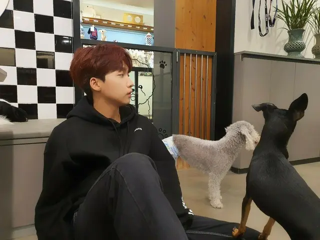 【T公式】チョン・セウン、[ #チョン・セウン] #SEWOON_ing🐶#JEONGSEWOON #DAY #DAY_IN #DAY_OUT