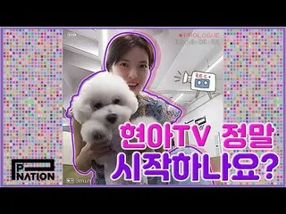 【g公式】4MINUTE_出身ヒョナ、