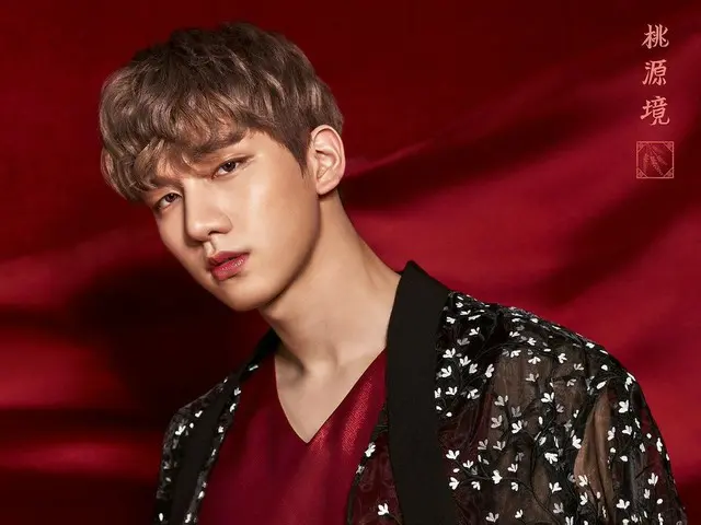 VIXX、4thミニアルバム「桃源境」。