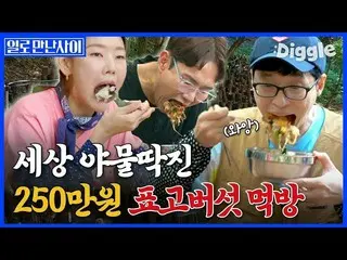 【公式tvn】 [ #日会った]口に250万ウォン払い食べるシイタケビビンバモクバン！食べながら叱るはジャンソンギュカッターユ・ジェソク＆ハン・ヘジン ふふふ|