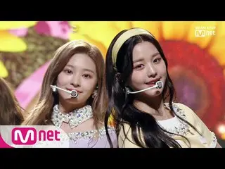 【d公式kcg】KCON、[ #KCON19TH X #MCD]  IZ*ONE #Sunflower   #KCON2019 #KCON2019THAILAN