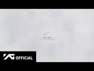 【d公式yg】#AKMU「水を得た魚(Fish in the water)」Lyric Video  📺Naver TV：  📹YouTube：   #アク