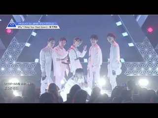 【公式】PRODUCE 101 JAPAN、PRODUCE 101 JAPAN |東方神起♬Why？ (Keep Your Head Down)@ #7グループ