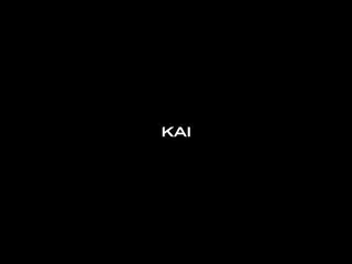 【T公式】EXO、EXO EXO Bonus Clip #KAI  🎧2019.11.27