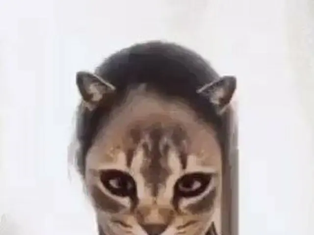 「飼い主が猫になった時、猫の反応」が韓国で話題