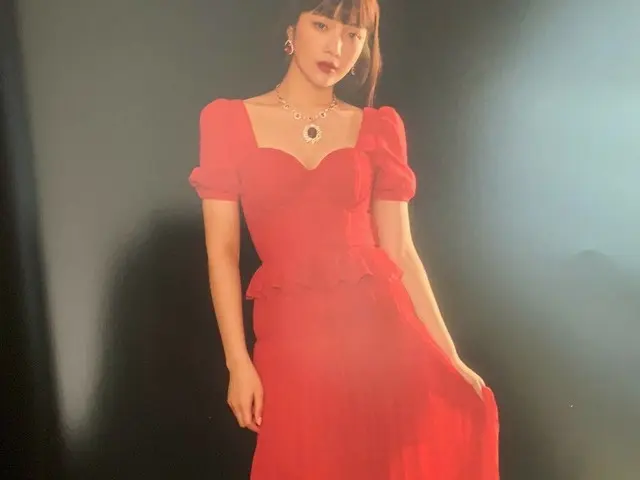 Red Velvet コンサート、画報より画報らしい「La rouge」グッズ写真