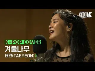【公式kbk】【Kpop Cover] 少女時代 テヨン 「冬の木(I'm all ears)」♪cover byホラン|クォンPDのCover Story  