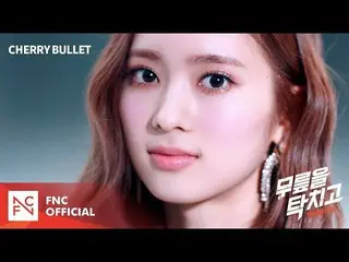 【公式fnc】Cherry Bullet(Cherry Bullet) - 「膝をタックて(Hands Up)」MV TEASER 1   