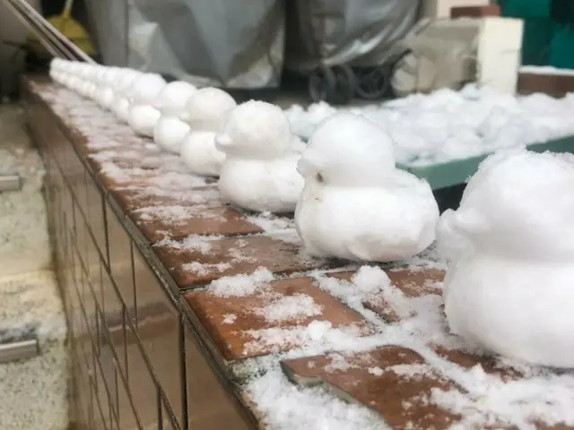 韓国のマンション下に並べられた“雪アヒル”が話題