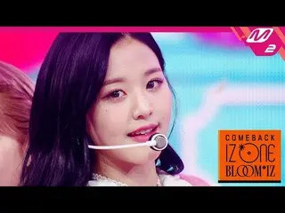 【公式mn2】IZ*ONE_  - ヒマワリ(Sunflower)| COMEBACK IZ*ONE_ BLOOM * IZ   