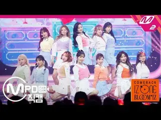 【公式mn2】【MPD直カム] IZ*ONE__「ひまわり(Sunflower)」(IZ*ONE_ FanCam)| COMEBACK IZ*ONE_ BLOO