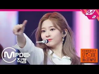 【公式mn2】【MPD直カム] IZ*ONE_金ミンジュ_「ひまわり(Sunflower)」(IZ*ONE_ Kim Minju FanCam)| COMEBA