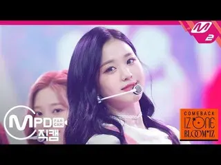 【公式mn2】【MPD直カム] IZ*ONE_「ひまわり(Sunflower)」(IZ*ONE_ Jang Wonyoung FanCam)| COMEBACK