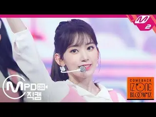 【公式mn2】【MPD直カム] IZ*ONE_宮脇咲良_「ひまわり(Sunflower)」(IZ*ONE_ Sakura FanCam)| COMEBACK I