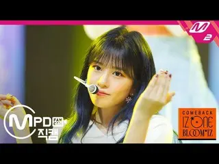 【公式mn2】【MPD直カム] IZ*ONE_アンユジン_「ひまわり(Sunflower)」(IZ*ONE_ An Yujin FanCam)| COMEBAC