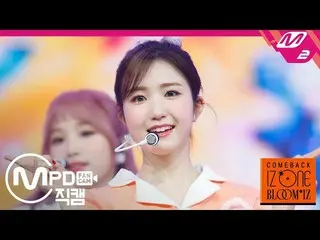 【公式mn2】【MPD直カム] IZ*ONE_本田仁美_「ひまわり(Sunflower)」(IZ*ONE_ Hitomi FanCam)| COMEBACK I