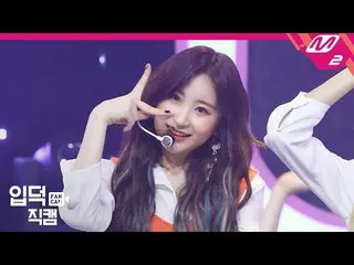 【公式mn2】【直カム] IZ*ONE_イ・チェヨン_「ひまわり(Sunflower)」(IZ*ONE_ Lee Chaeyeon FanCam)| COMEB