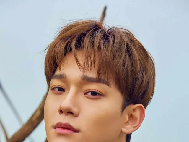 【直訳】EXO チェン、ファンにメッセージ。