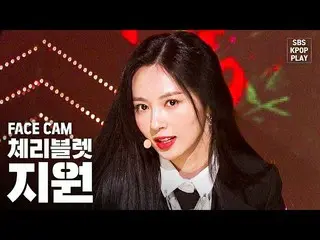 【公式sb1】【フェイスカム4K] Cherry Bulletサポート」膝をタックて「(Cherry Bullet「Hands Up」JI WON Faceca
