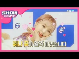【公式mbm】【Show Champion】花+花= IZ*ONE_♡今日のエンディング妖精は？ l EP.344   