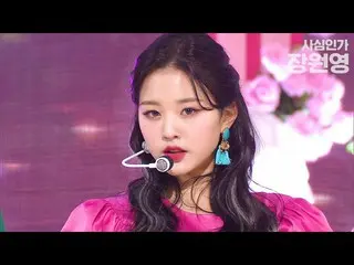 【公式sb1】【私心人気歌謡】千年ドル？万年ドル？ IZ*ONE ウォニョンが千年万年八兆三千億年ドル💕/ Born to be IDOL、JANG WON 