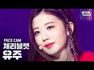 【公式sb1】【フェイスカム4K] Cherry Bulletユーズド」膝をタックて「(Cherry Bullet「Hands Up」YU JU Facecam