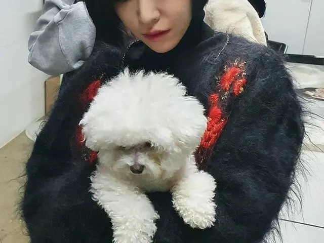 Brown Eyed Girls ガイン、インスタグラムのアカウントがハッキングされたと告白。