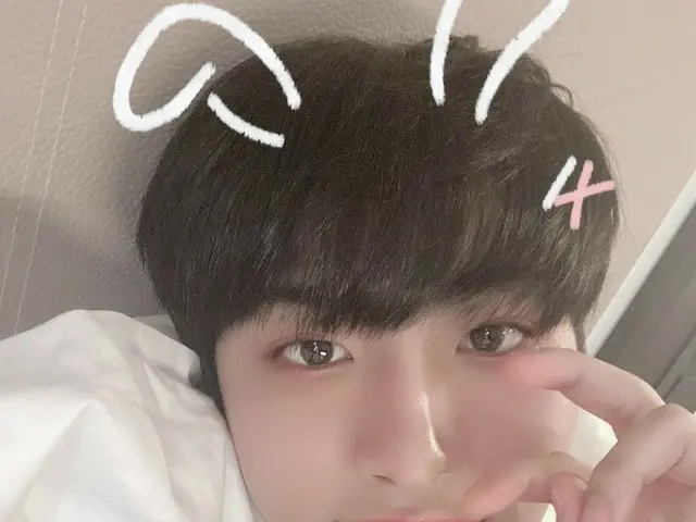 【T公式】ATEEZ、[ #化]さて今決着ましょう 聖火はウサギだ🐰VSない聖火は猫である🐱 さてツースリースアングリーバードはない受け取り👋🏻とセルカ