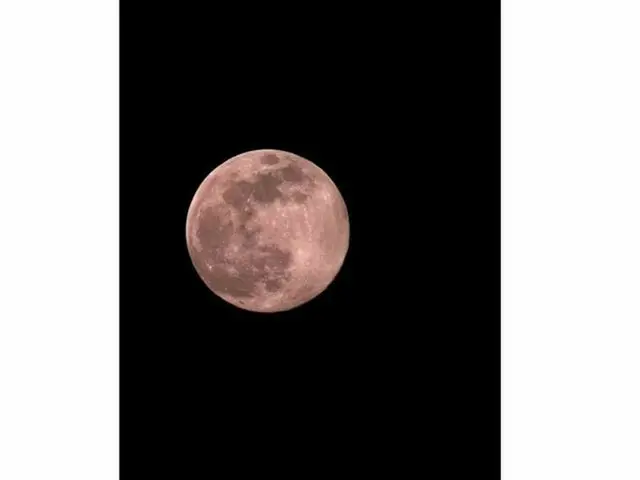 【g公式】女優ハ・ジウォン、The pink moon last night🌸   