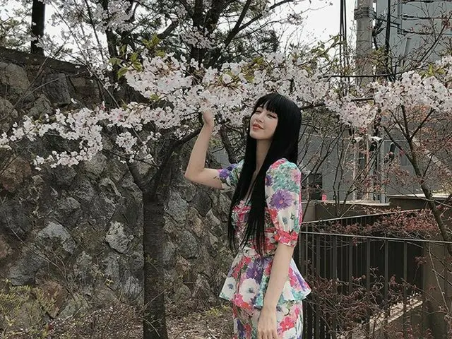 【g公式】女優ハン・イェスル、世の中庭に桜が満開  