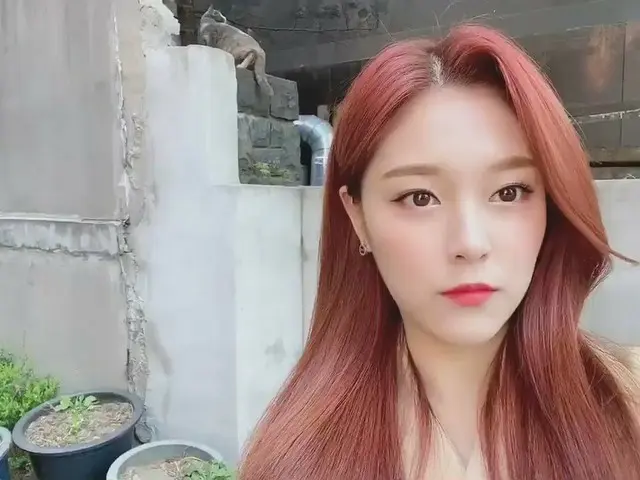 【t公式】今月の少女(Loona)、[今月の少女(LOONA)キクキク #188]   #ヒョンジンこれに応答しエオン😿   #今月の少女(LOONA)#LO