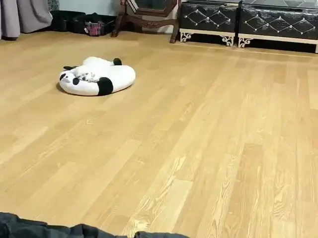 【t公式】fromis_9、RT realfromis_9：izo1124てルミワトション