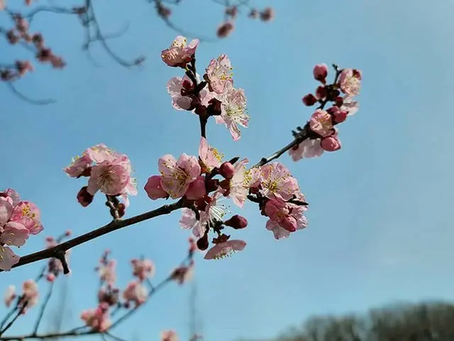 【G公式】俳優チョン・ヘイン、みんなに春が来るように🌸   