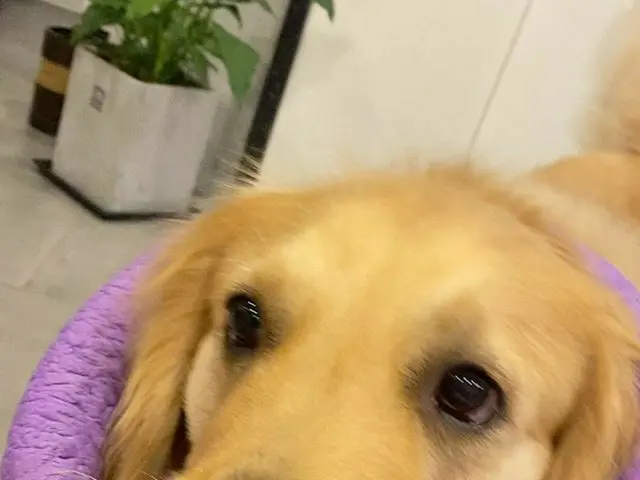 【G公式】CNBLUE_ジョンシン、非くる🌧   