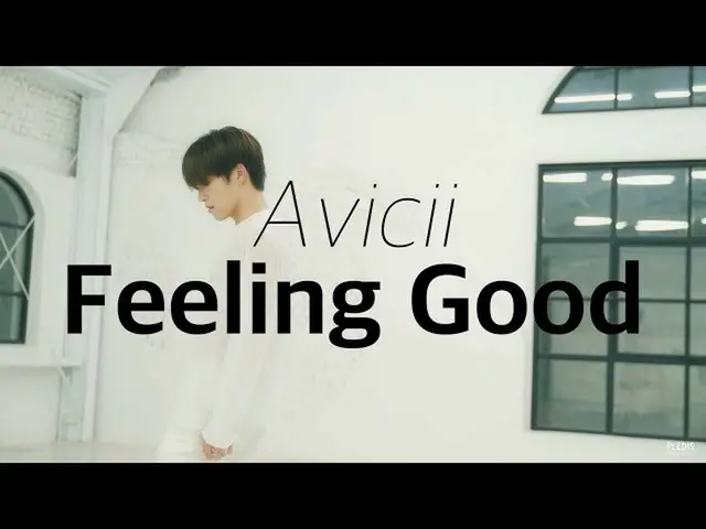 【公式】SEVENTEEN、[DINO'S DANCEOLOGY] Avicii  -  Feeling Good   