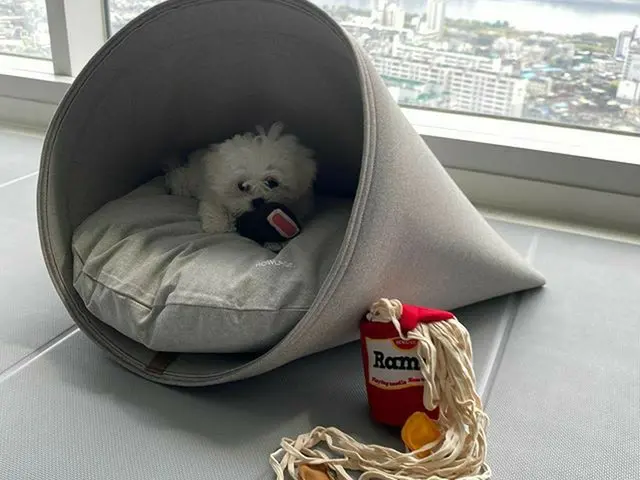 【G公式】東方神起_チャンミン(MAX)、お父さん通帳なんてよ...❤️🐶   