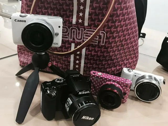 2NE1 出身DARA、SNS用の重装備。