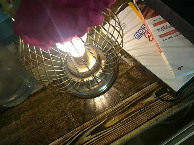 【g公式】SECRET_出身ハン・ソンファ、頭を下げたシャクヤク🌺 きれい強固シャクヤクのおかげでシャクヤク花言葉内気だなんて内気で頭を下げたのかねオモナ🤭