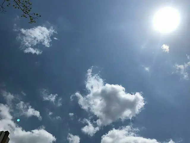 【g公式】SECRET_出身ハン・ソンファ、お前が先に☀️👒🌿   