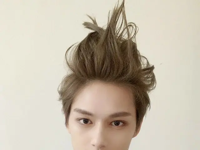 【JT公式】SEVENTEEN、RT pledis_17：[17'S JUN]特異な頭部シリーズ📸 
