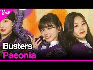 【公式sbp】 BUSTERS_ 、Paeonia [THESHOW_ _ 2005 12]   