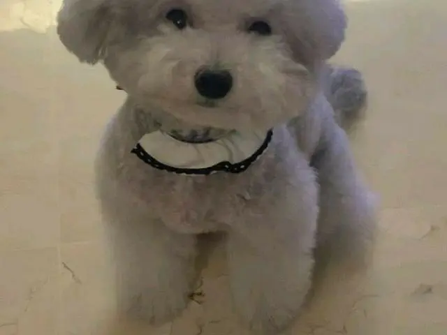 【g公式】GIRL’S DAY _ユラ、5959♡♡♡   