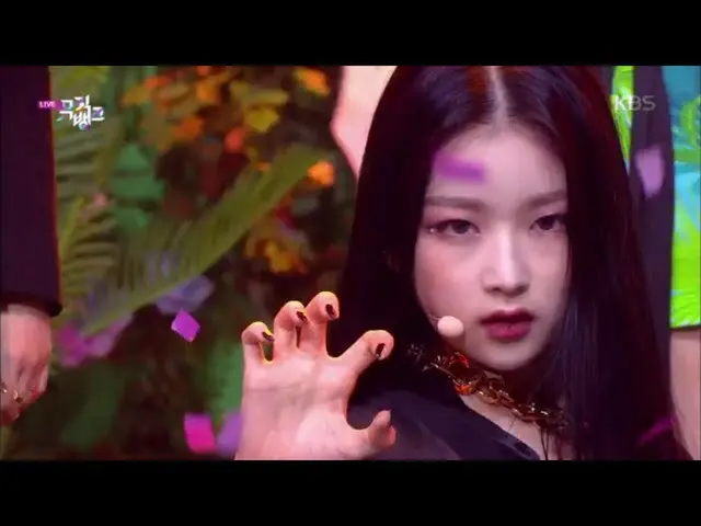 【公式kbk】JUNGLE  -  BVNDIT(バンディット)[MUSIC BANK / Music Bank] 20200515   