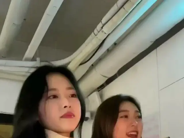 【t公式】今月の少女(Loona)、[今月の少女(LOONA)キクキク #197]   #チェリ#OliviaHye今後バラ花道だけ歩い🌹   #今月の少女(