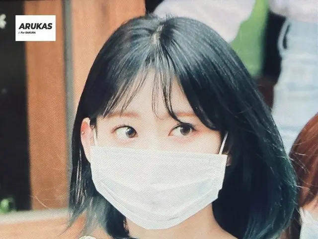 「本日の IZ*ONE 」が韓国で話題、宮脇咲良。
